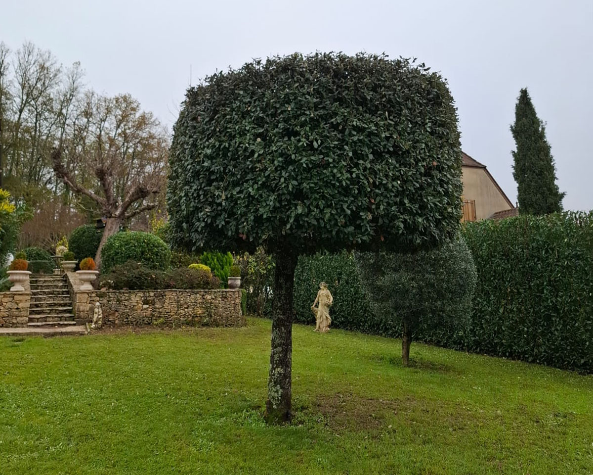 Périgord noir Paysage - Entretien